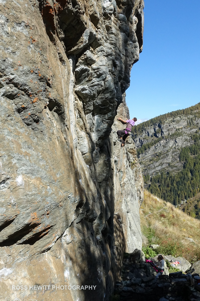 Miollet Ross Hewitt-6