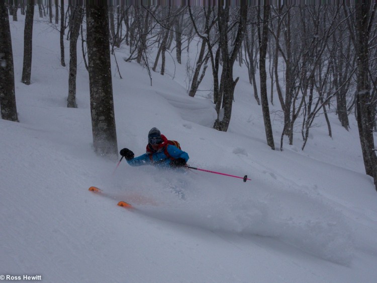 Japan Hewitt Blaydon-30