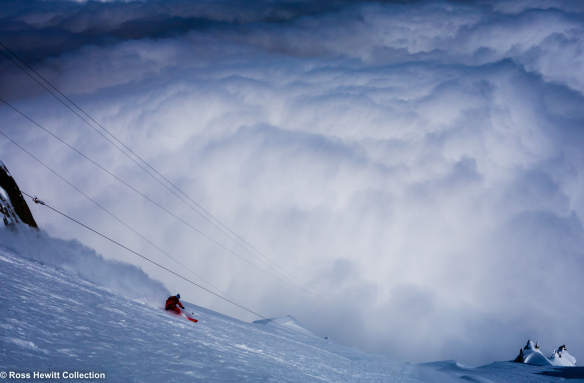 frenndo ross hewitt bird