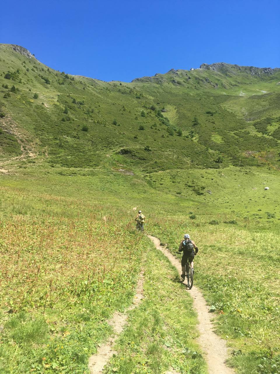 20133376_10212149843373170_1873683746_o