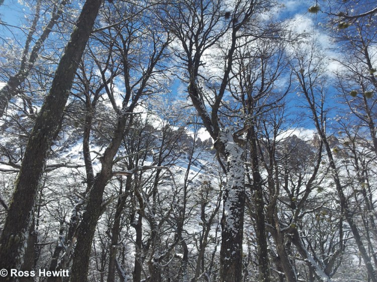 Frey Cerro Catedral Bariloche Patagonia Ski South America 11