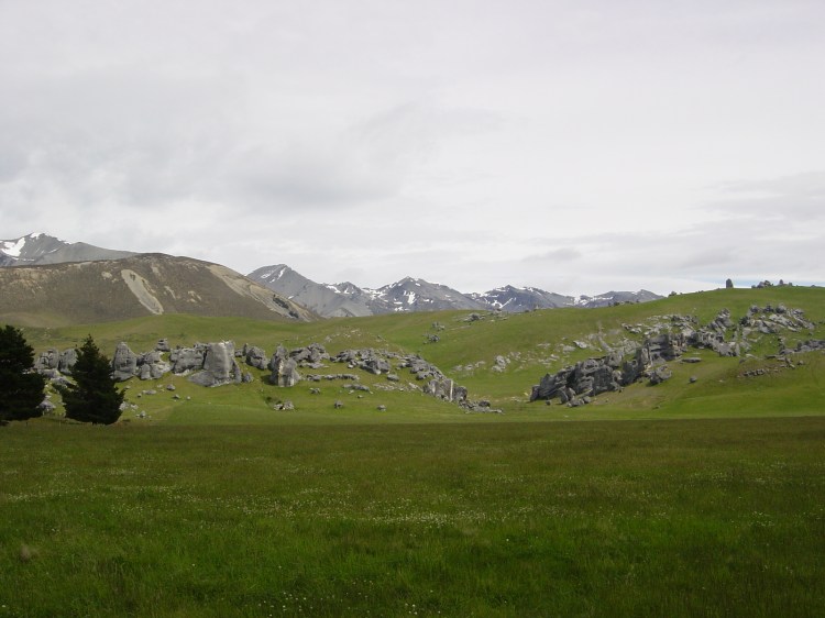 Quantum Field Arthur's Pass