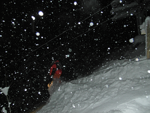 Photo by Michelle Blaydon. MTB night lights allowing small tree stump jumps
