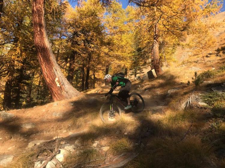 22555920_1814505901911582_1687614557_o