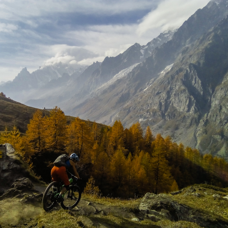 IMG_20171019_151205_1CS