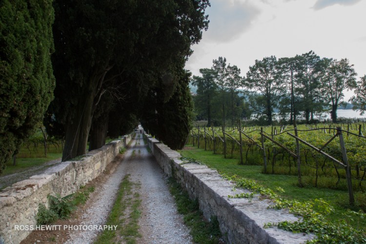 Sarche Ross Hewitt-6