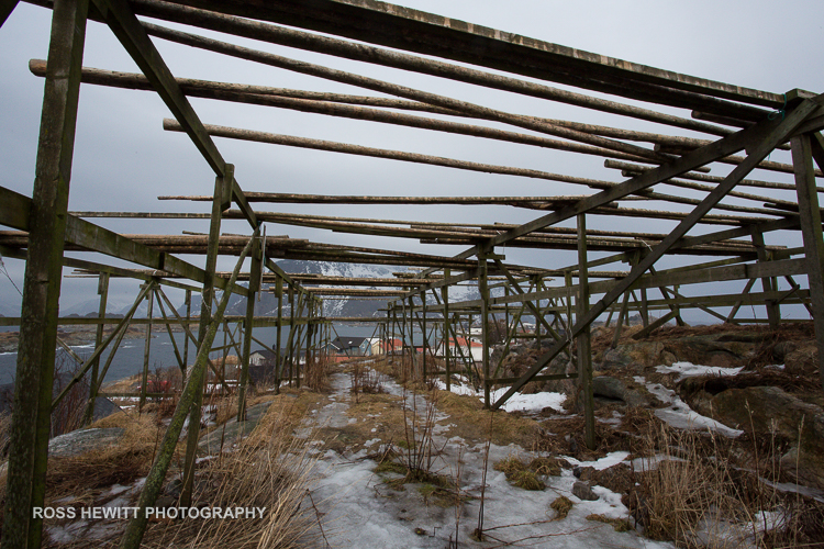 Lofoten Skiing Ross Hewitt Michelle Blaydon-129