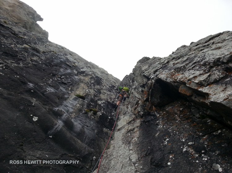 Premier Corvee Ross Hewitt-4