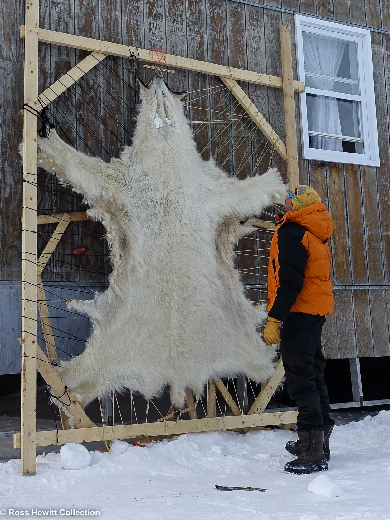 Ross Hewitt Baffin Island Ski Expedition