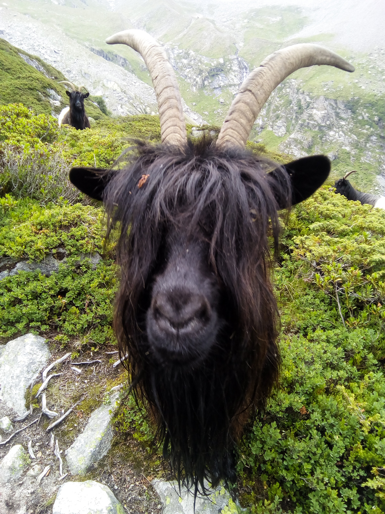 IMG_20170710_145453-2