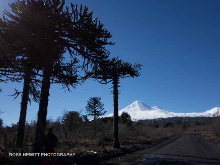 ross-hewitt-michelle-blaydon-patagonia-11