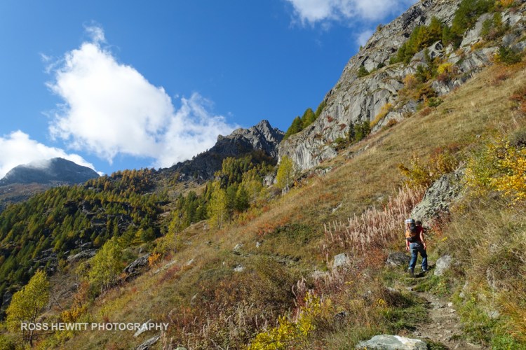 Miollet Ross Hewitt-1