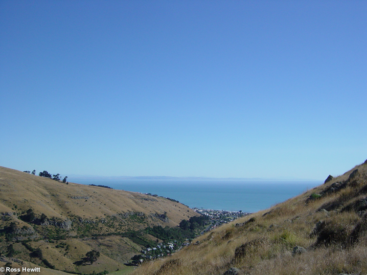 New Zealand 2006-101