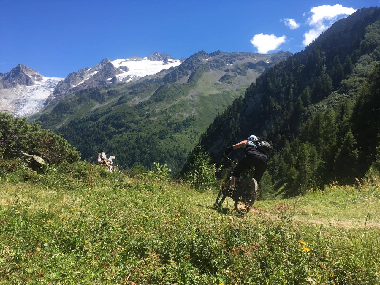 20149043_10212149842453147_145518596_o