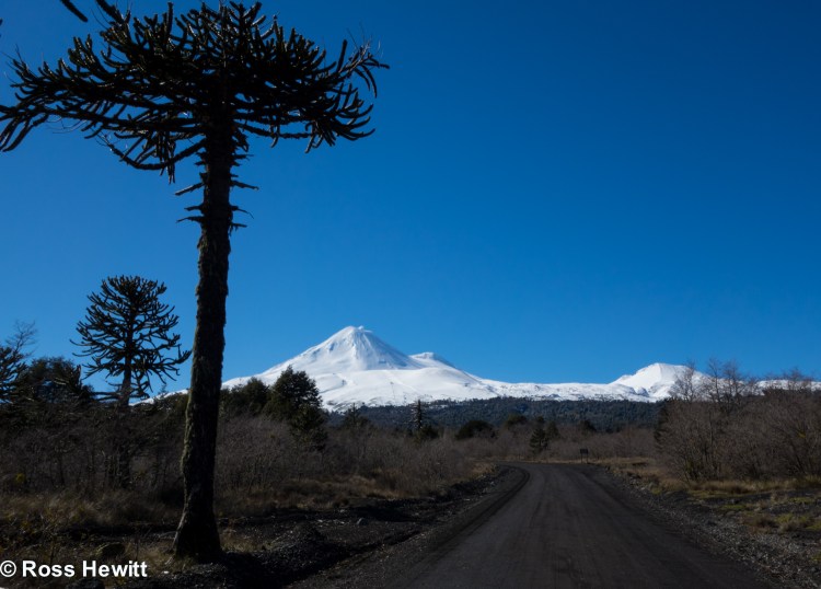 Ski South America-11