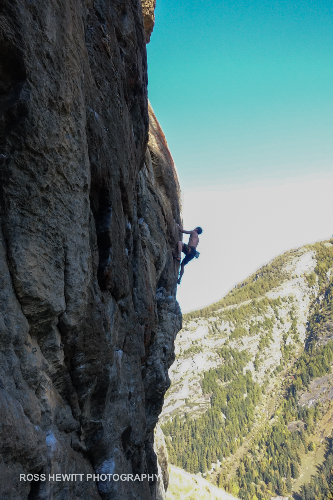 Miollet Ross Hewitt-9