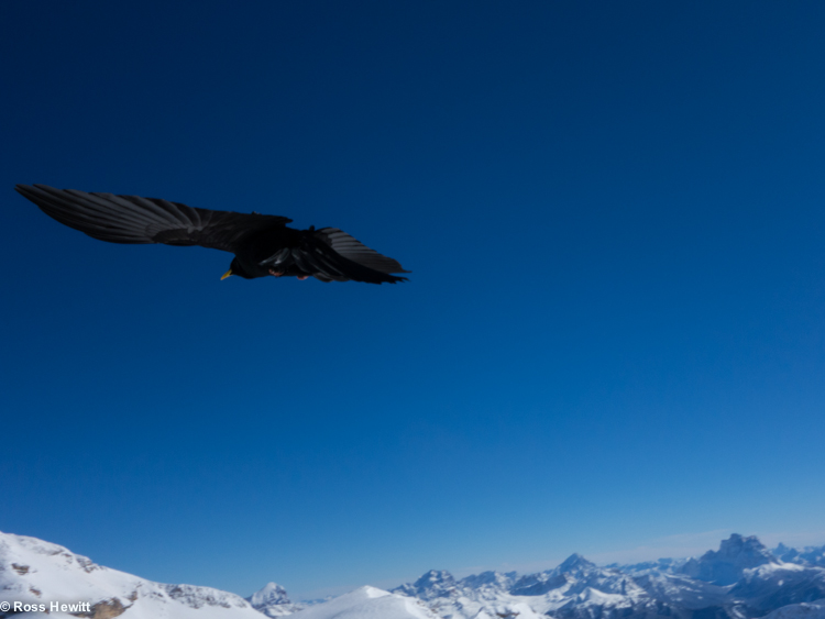 Chamonix skiing 2014-54