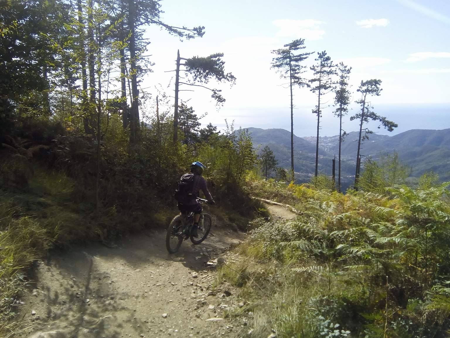 21895209_10155923198058984_1187109341_o